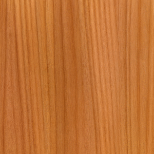 Bibolo (Bété / Dibétou) (Lovoa trichilioides)