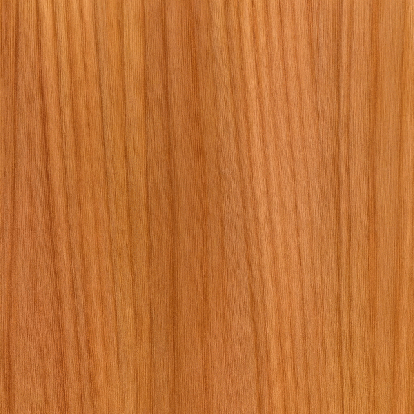 Bibolo (Bété / Dibétou) (Lovoa trichilioides)