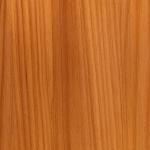 Iroko (Milicia excelsa)