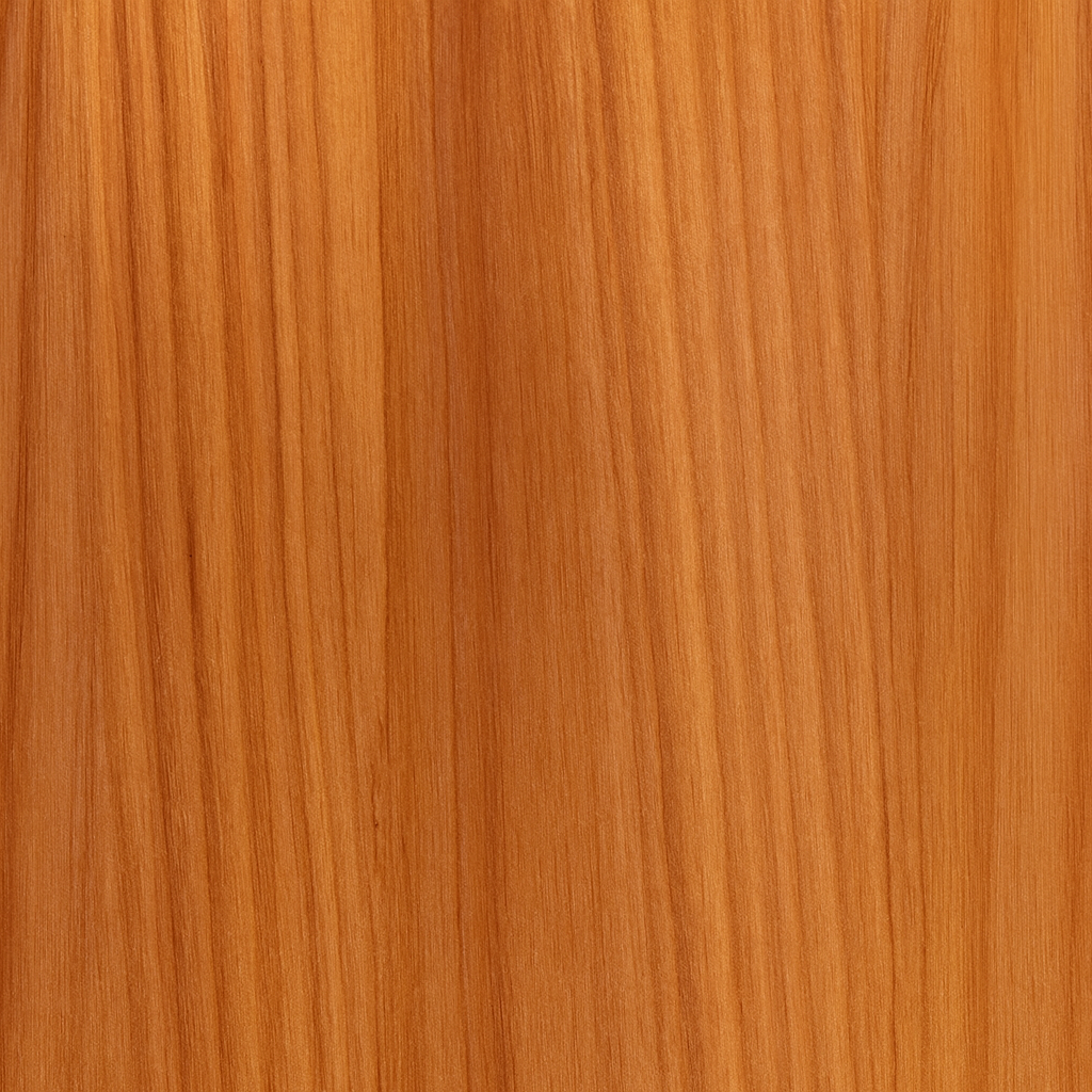 Iroko (Milicia excelsa)