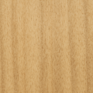 Fraké / Limba (Terminalia superba)