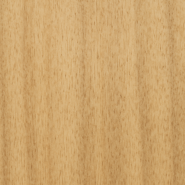 Fraké / Limba (Terminalia superba)