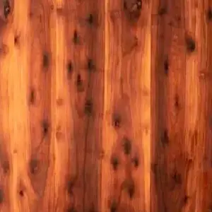 Moabi (Baillonella toxisperma)