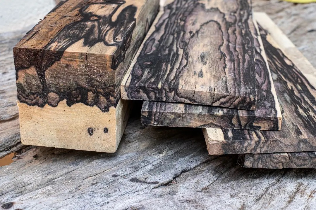 Ébène / Ebony (Diospyros crassiflora) - Image 4